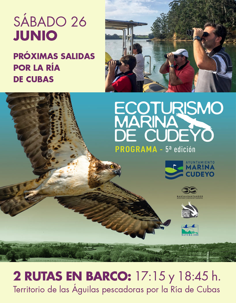 Recorre en barco el territorio del águila pescadora | Ayuntamiento Marina  de Cudeyo
